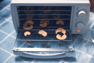 360°烘干，原汁原味即刻享用 金正家用食品水果烘干機(jī)全體驗(yàn)